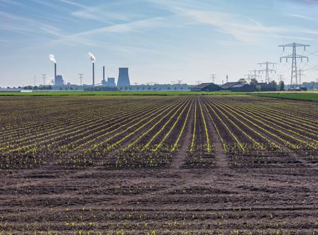 View on the cultivation of fodder maize in front of a power plant in the Netherlands